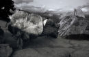 Fallen tree and Half Dome
